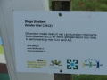 2012-11-28 Boxtel019