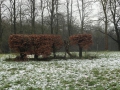 2012-12-12 Leersum029