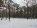 13-01-23 VUGHT (1)