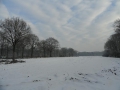 13-01-23 VUGHT (5)