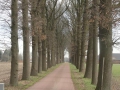 13-03-06 DINTHER (18)