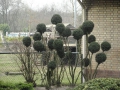 13-03-06 DINTHER (31)