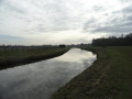 13-03-06 DINTHER (6)