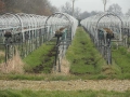 13-03-06 DINTHER (7)