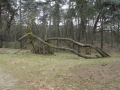 2012-03-07 GIERSBERGEN (07)