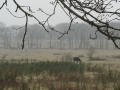 13-03-20 RHENEN (22)