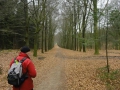 13-03-20 RHENEN (6)
