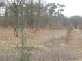 13-03-20 RHENEN (7)
