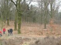 13-03-20 RHENEN (8)