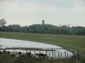 13-06-12 ZALTBOMMEL (21)