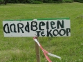 13-06-12 ZALTBOMMEL (30)