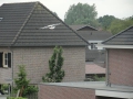 13-06-12 ZALTBOMMEL (38)