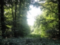 2013-08-27 LOCHEM (31) (Kopie)