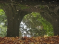 2013-08-28 ALMEN (46) (Kopie)