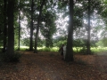 2013-08-28 ALMEN (47) (Kopie)