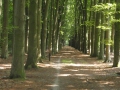 2013-08-28 ALMEN (62) (Kopie)