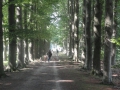 2013-08-28 ALMEN (63) (Kopie)