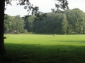 2013-08-29 LOCHEM (12) (Kopie)