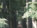 2013-08-29 LOCHEM (15) (Kopie)