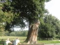 2013-08-29 LOCHEM (21) (Kopie)