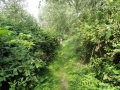 2013-08-29 LOCHEM (43) (Kopie)