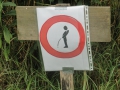 2013-08-29 LOCHEM (47) (Kopie)