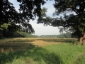 2013-08-29 LOCHEM (7) (Kopie)