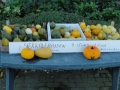13-10-30 b ZEELAND (14)