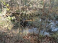 13-10-30 b ZEELAND (15)