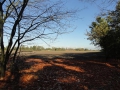13-10-30 b ZEELAND (17)