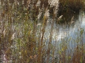 13-10-30 b ZEELAND (26)