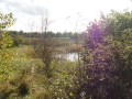 13-10-30 b ZEELAND (28)