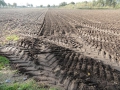 13-10-30 b ZEELAND (32)