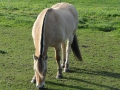 13-10-30 b ZEELAND (35)