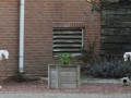 13-10-30 b ZEELAND (36)