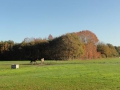 13-11-13 c CROMVOIRT(3)
