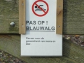 13-11-27 b MIDDELBEERS (25)