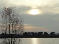 13-11-27 b MIDDELBEERS (41)