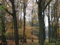 13-11-27 b MIDDELBEERS (9)