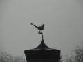 13-12-11 ROSMALEN NULAND (10)