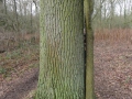 14-01-08 c LAGE MIERDE (24)