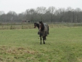 14-01-22 b OTTERLO (16)