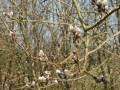 14 -03-05 SPOORDONK (14)