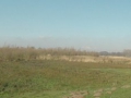 14 -03-05 SPOORDONK (15)