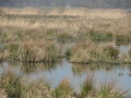 14 -03-05 SPOORDONK (16)