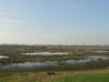 14 -03-05 SPOORDONK (17)