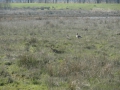 14 -03-05 SPOORDONK (26)