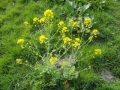 14-04-02 TREURENBURG (15)