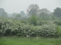 14-04-30 B OEFFELT (14)
