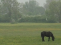 14-04-30 C OEFFELT  (4)